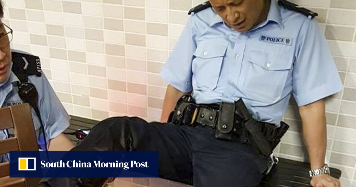 Wild boar bites Hong Kong police officer, dies after plunging 10 metres