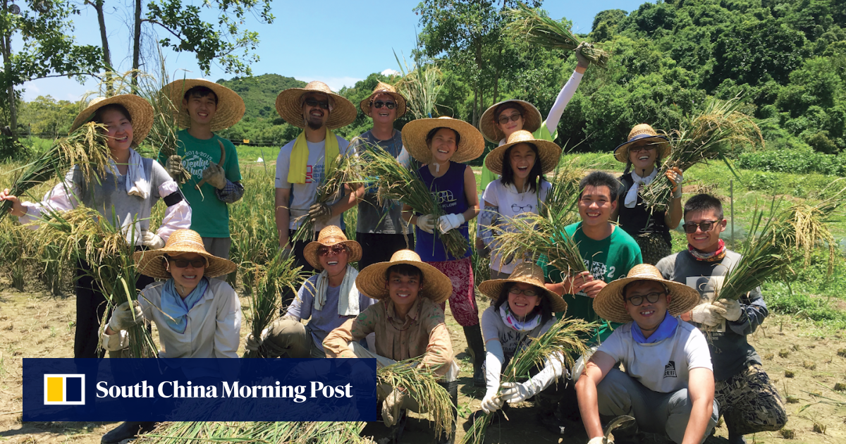 How Lai Chi Wo village became Unesco-award-winning farming settlement