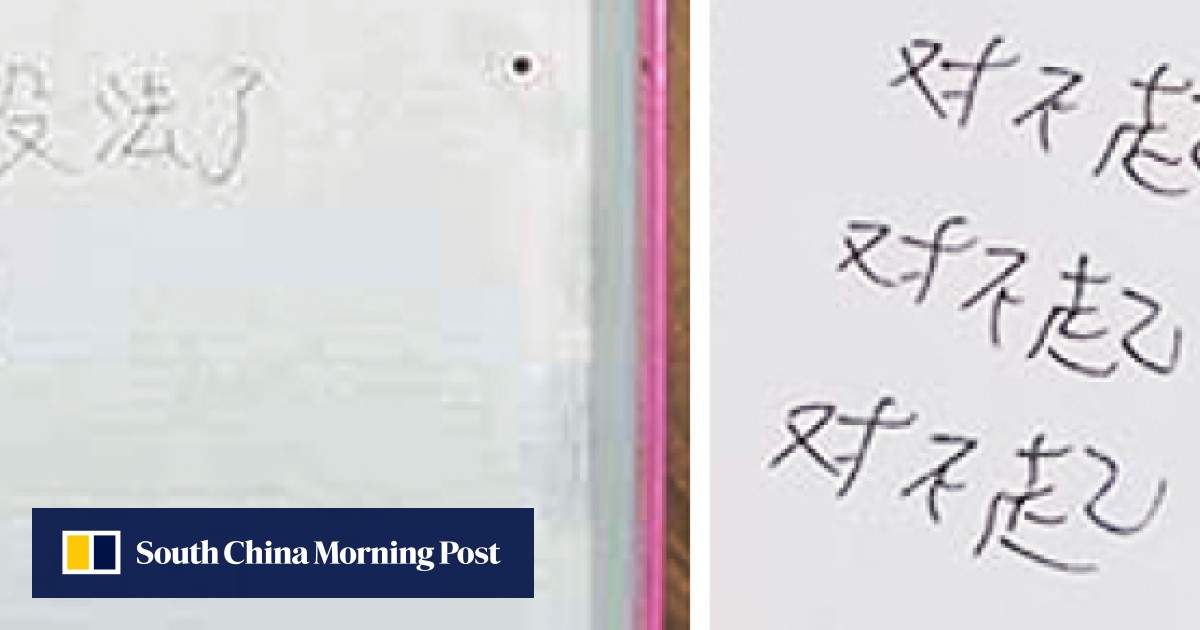 Considerate Chinese cat burglar leaves ‘sorry’ notes to victims after