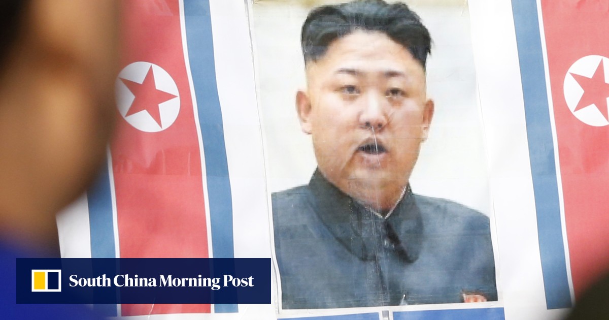 North Korean Propaganda Drops Into Defectors Yard In The South South China Morning Post 