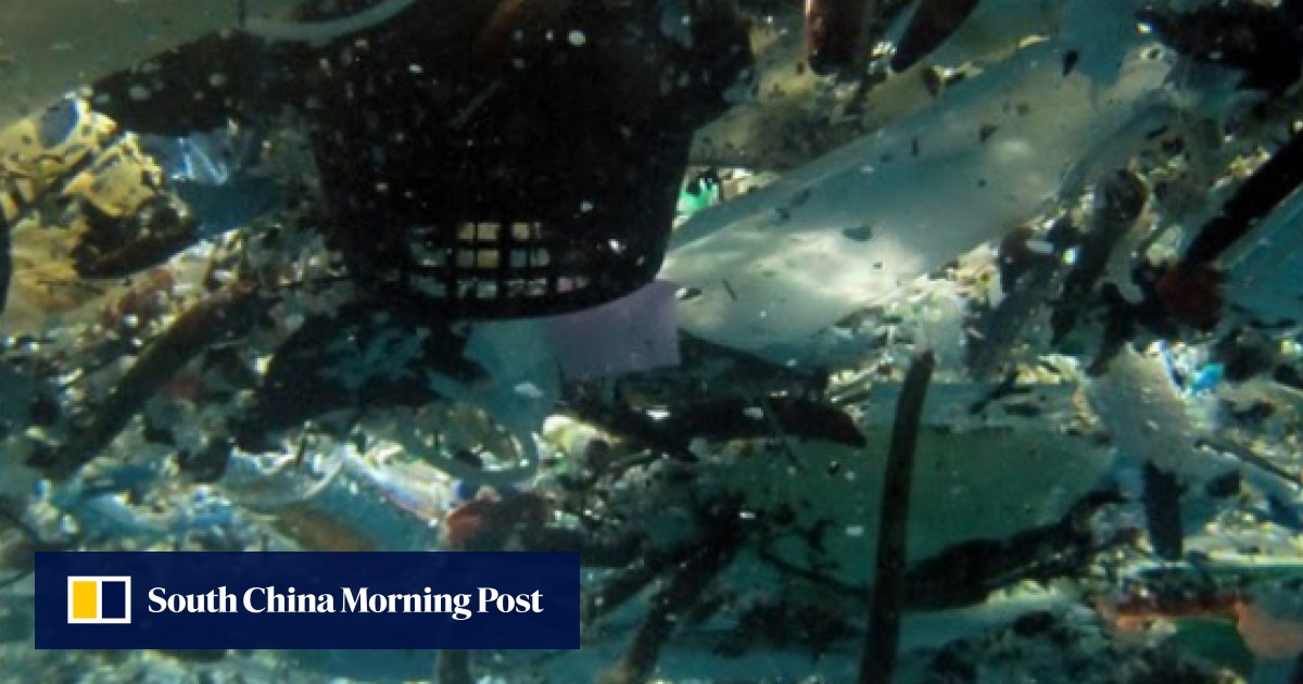 Bits of plastic will outweigh all fish in the oceans by 2050, study