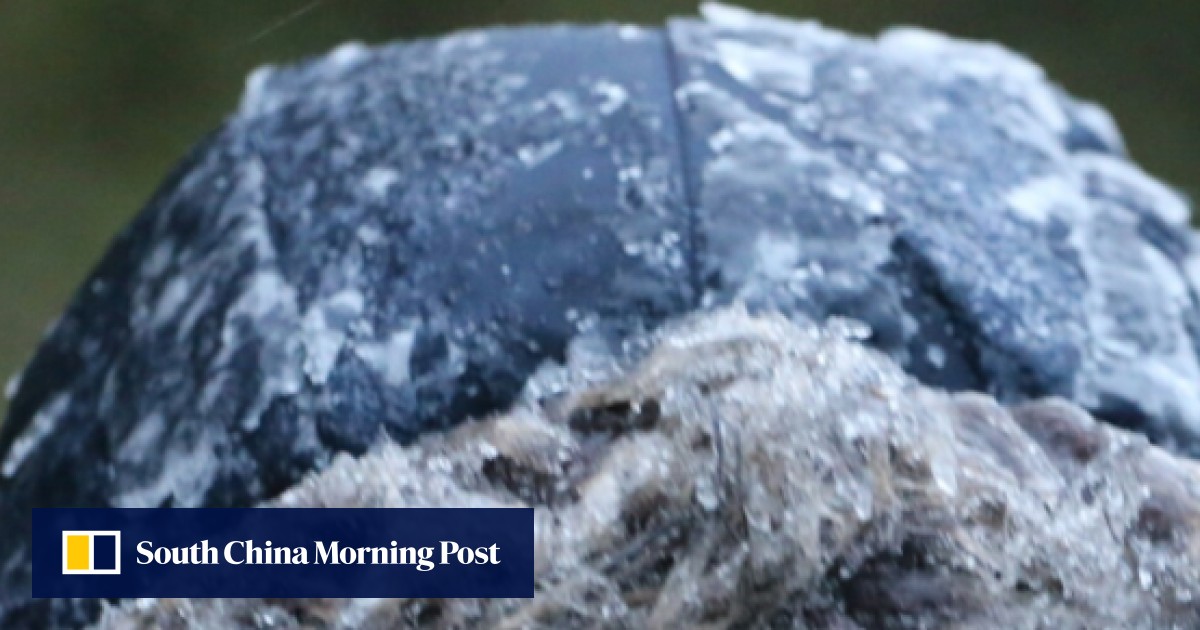 Polar vortex hits Hong Kong record low temperatures close schools