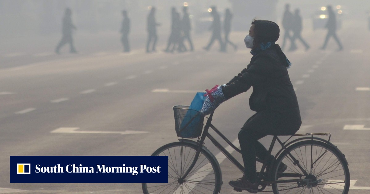 Pollution causes weight gain after just 19 days of exposure, finds new ...