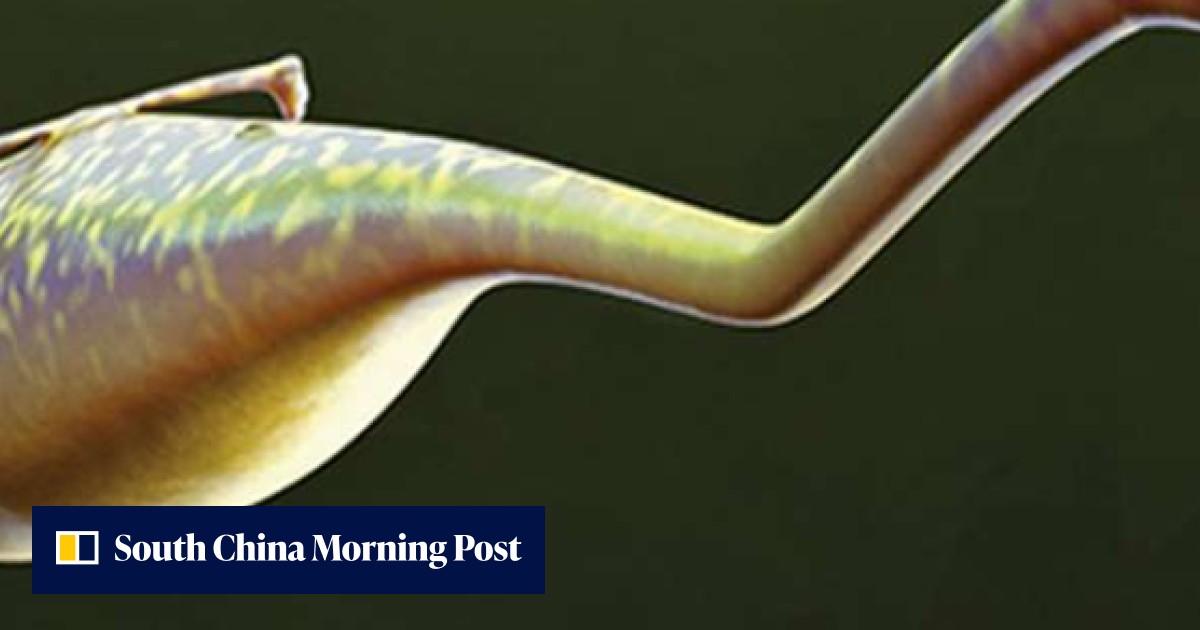 The Tully Monster, one of the weirdest creatures that ever lived, has ...