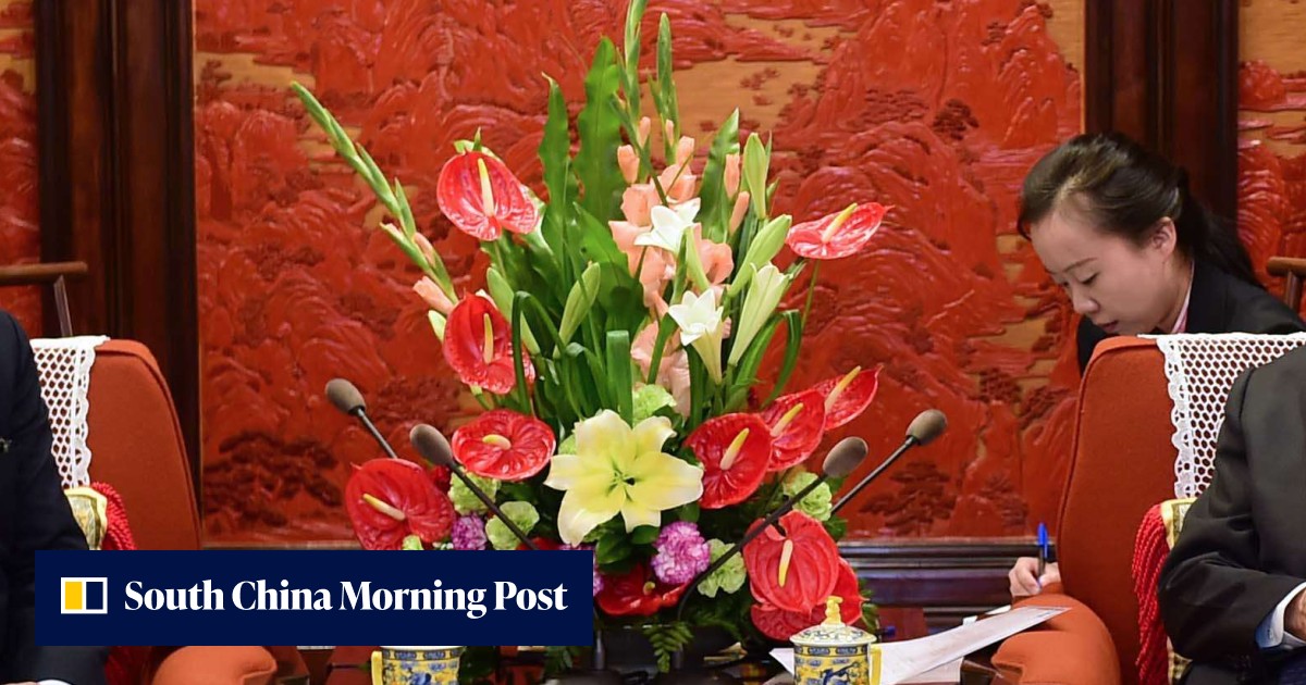 IMF official urges China to take urgent action to address ‘rising ...