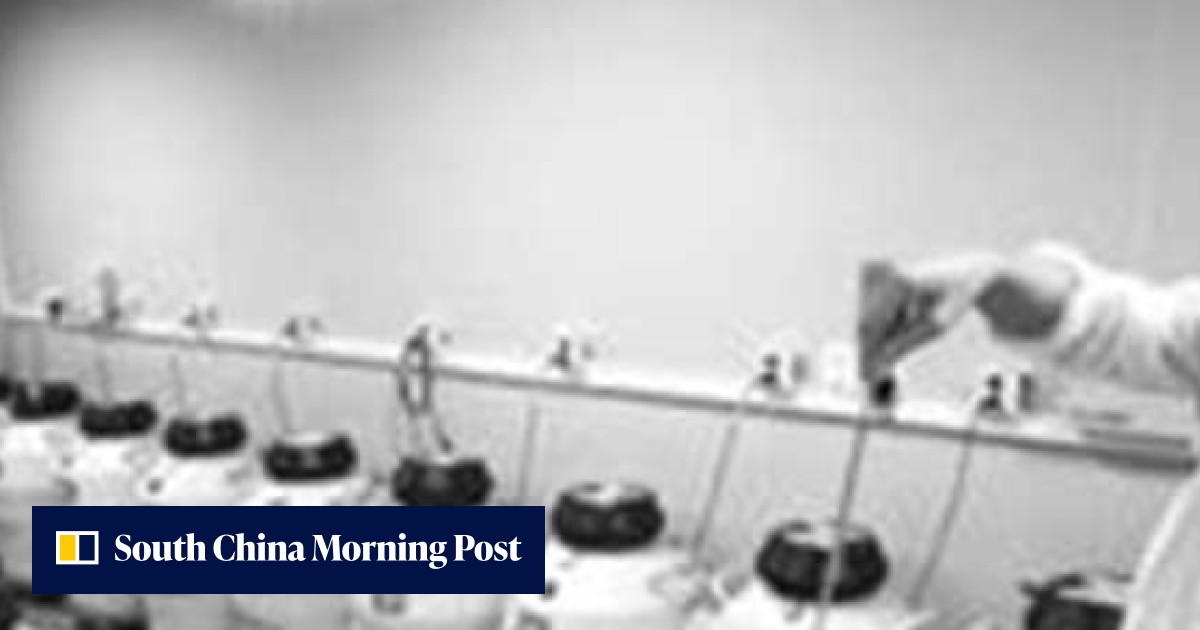 ‘Oldest baby in China’: mother to give birth to boy using embryo frozen ...