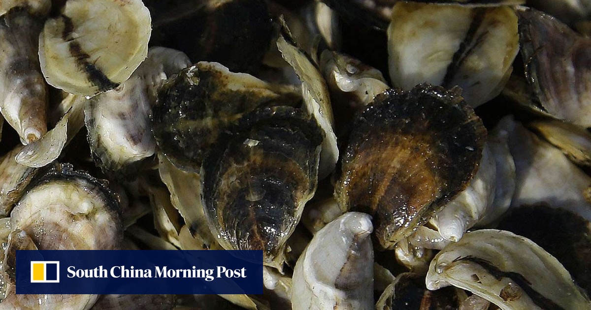 Study links global warming to rise in shellfish poisoning and ...