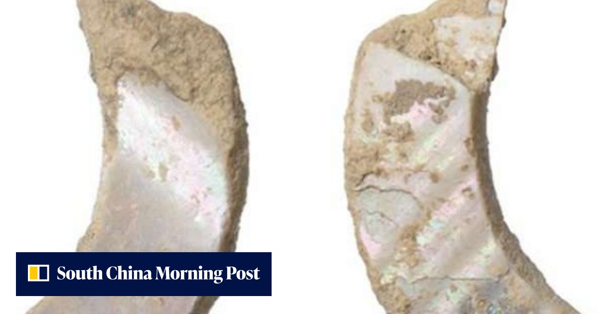 World’s oldest fish hooks, dating 23,000 years found in Okinawa cave ...