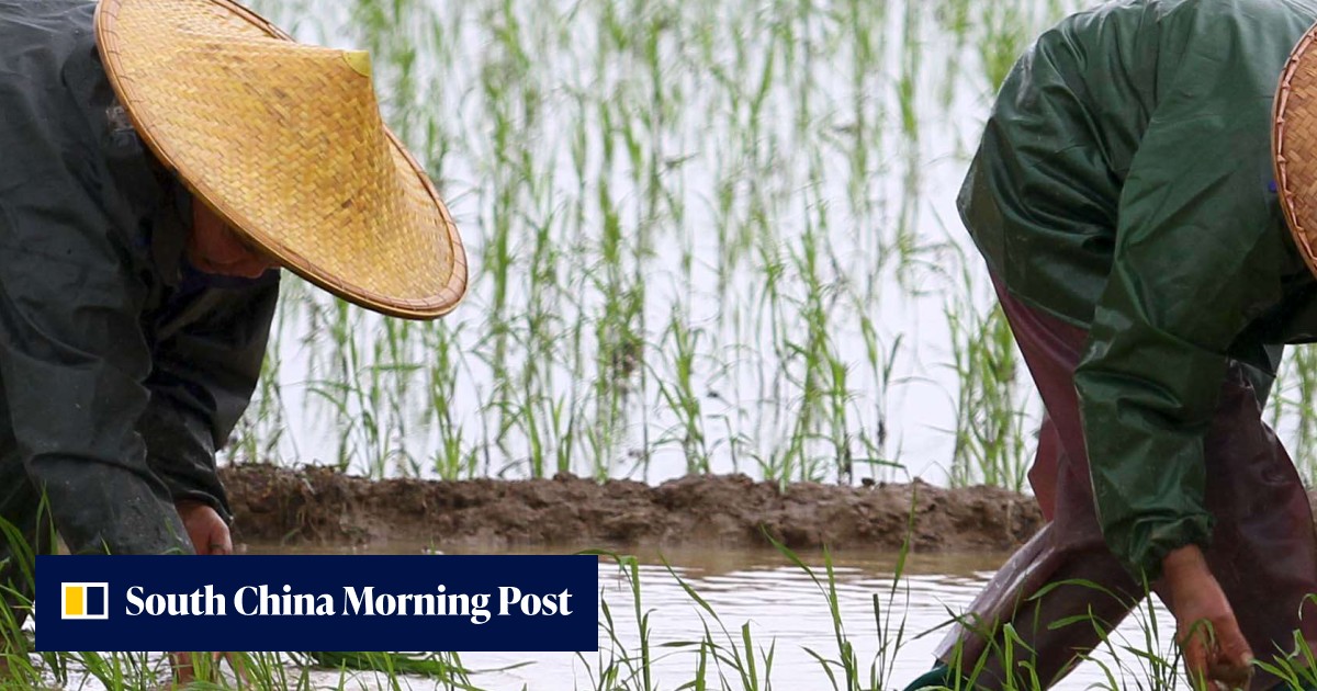 China has made great advances in development, but it still has a long ...