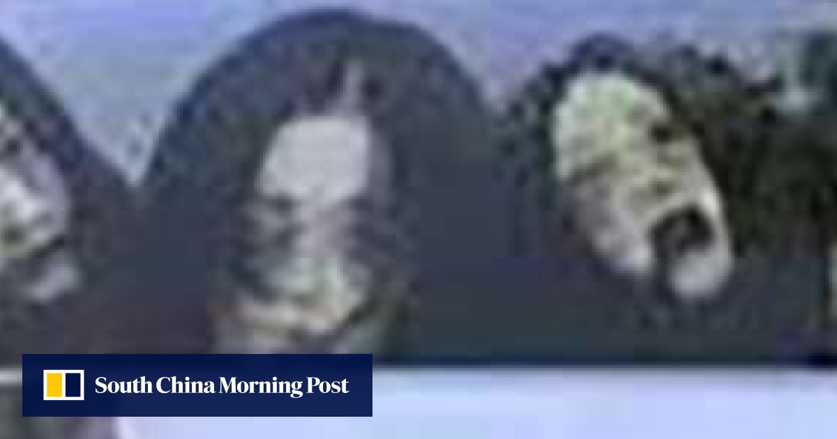 Chinese drivers use ghost decals to scare others off using full beam ...