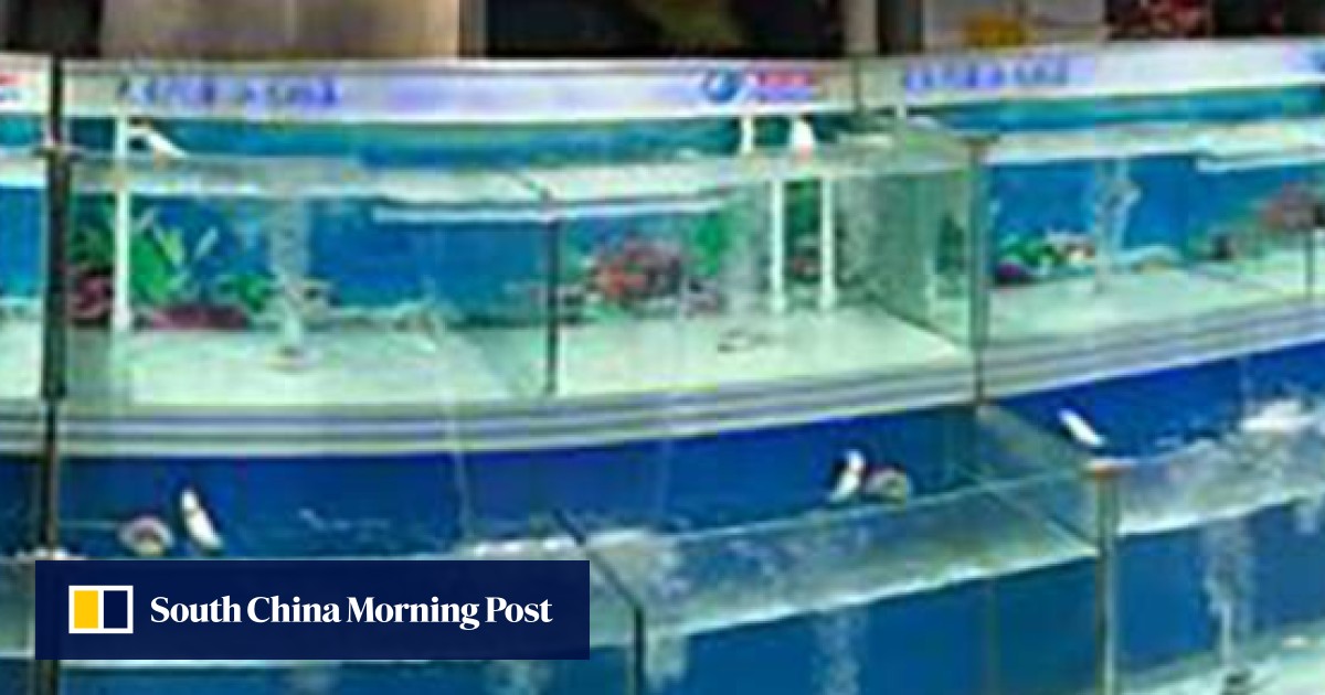 Live fish shop sales