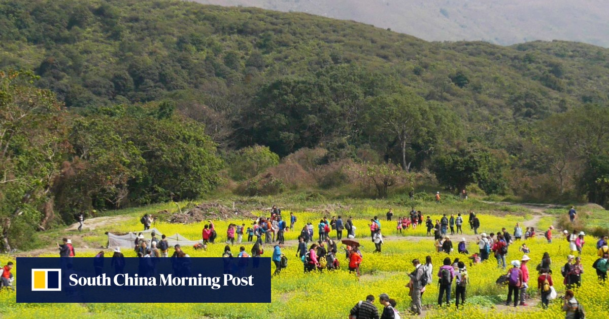 Land swap hailed as a boost for biodiversity in Hong Kong South China