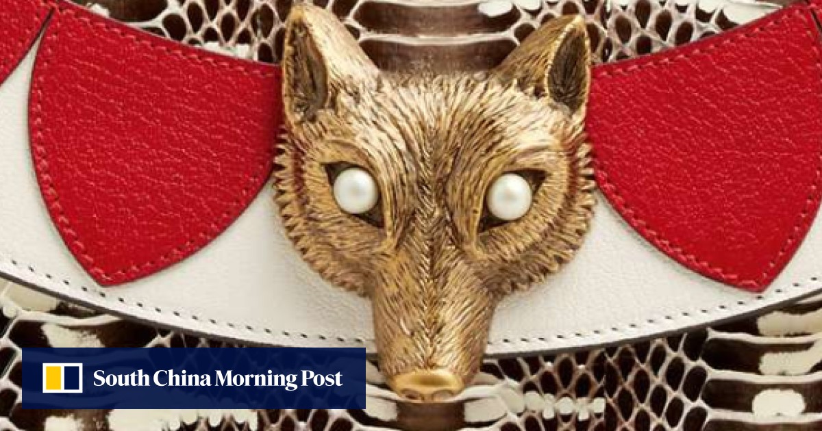 Why Gucci is growing its own pythons South China Morning Post