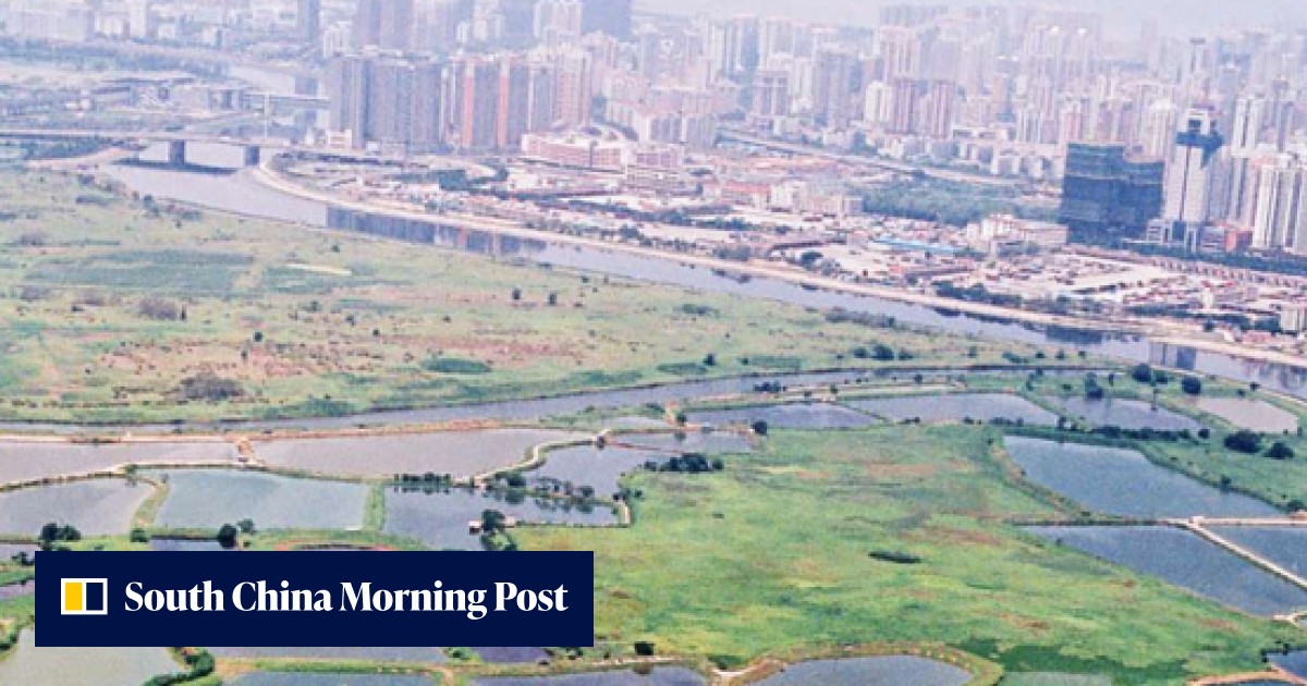 Lok Ma Chau Loop development backed by 60 per cent, Hong Kong survey ...
