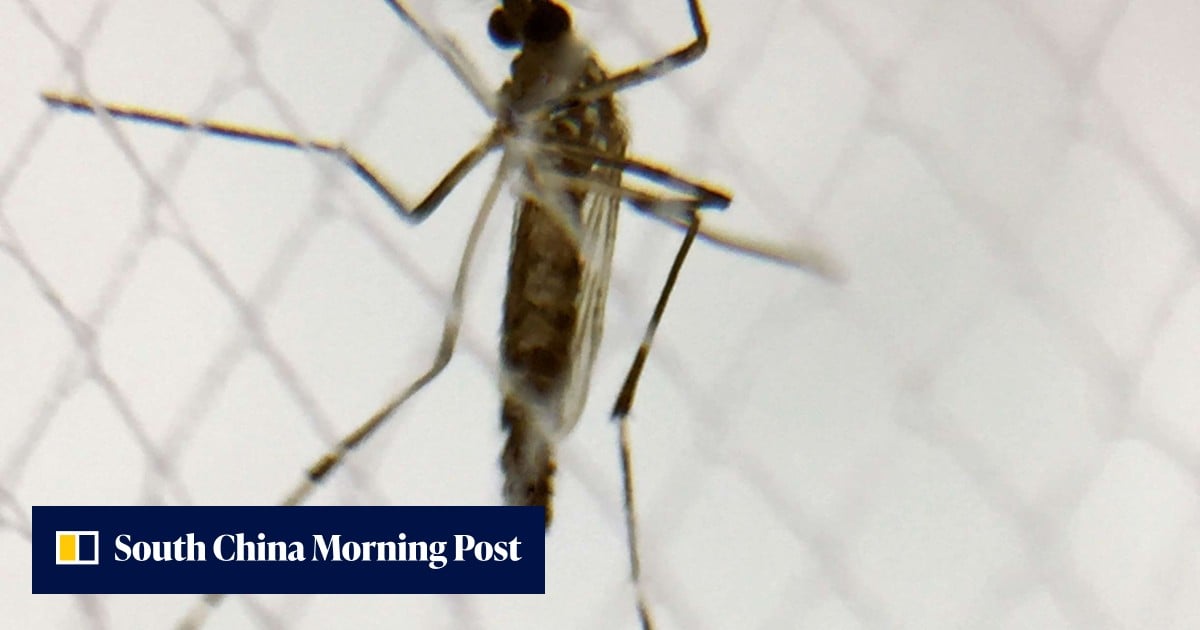Zika spread by up to 35 species of mosquitoes | South China Morning Post