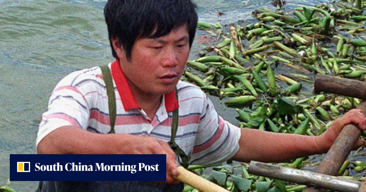Firm tasked with cleaning up one of China’s most polluted lakes plans ...