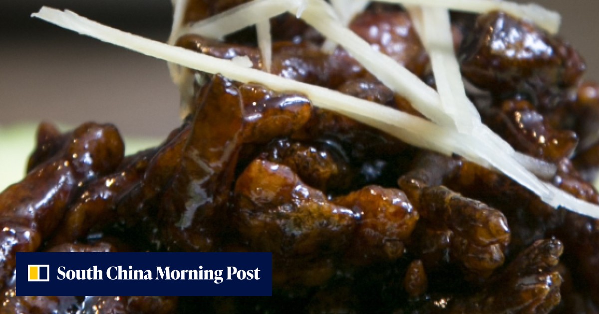 Restaurant review: Lao Xue Yuan – classic Shanghai dishes that are ...