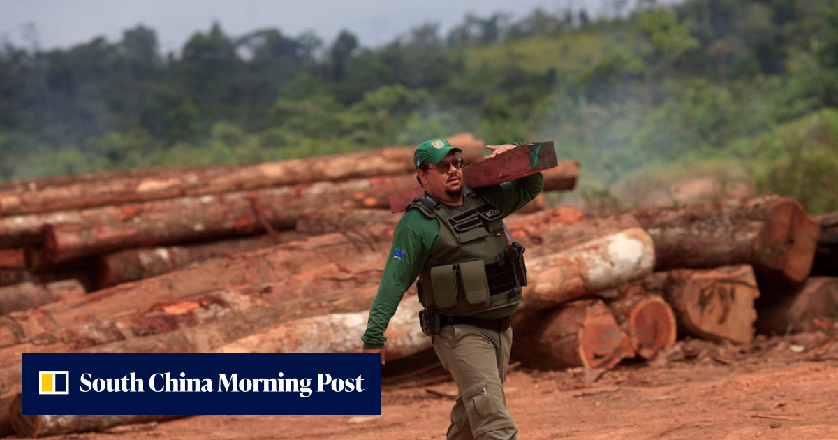 Scientists say we’re witnessing the planet’s sixth mass extinction ...