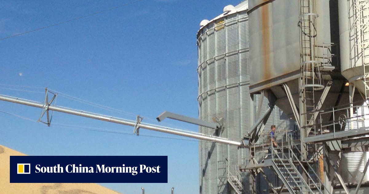 Chinese importers sign deal to buy 12.53 mln tonnes of US soybeans ...