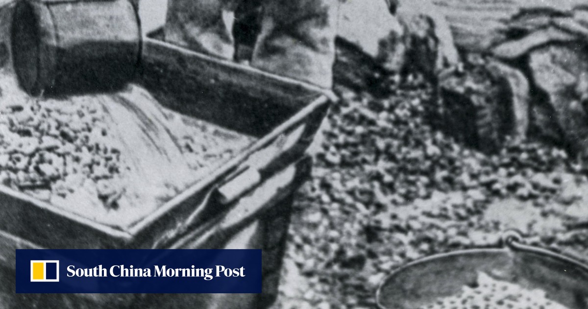 How Chinese gold miners helped build New Zealand and how discrimination ...