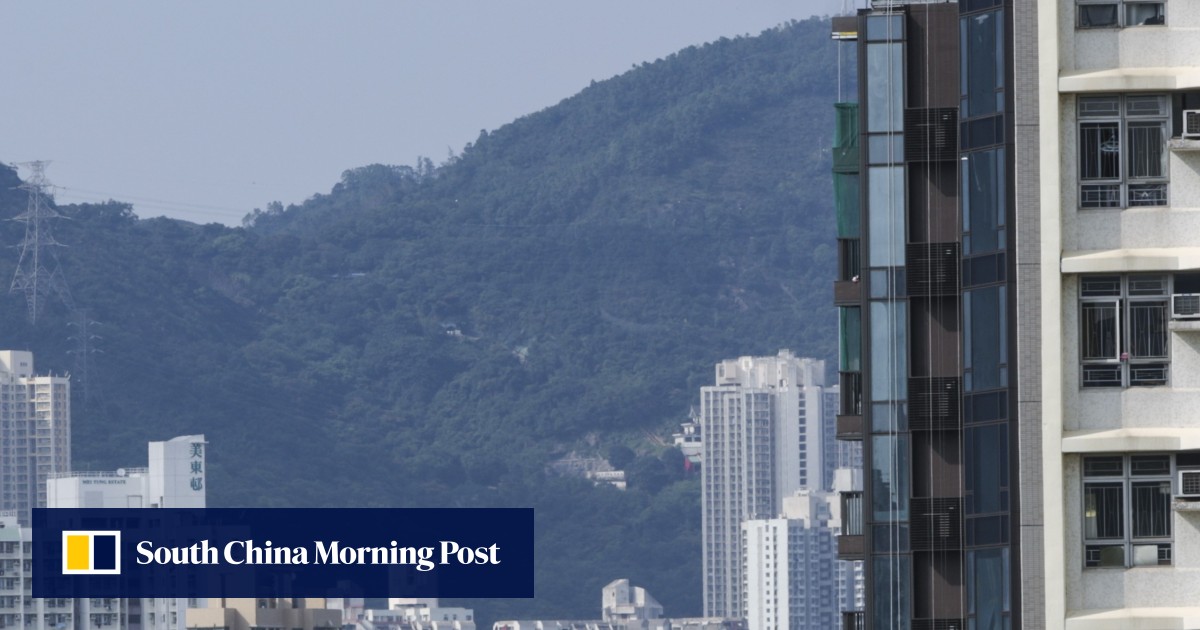 Affordable homes to be focus of Hong Kong housing policy, Carrie Lam