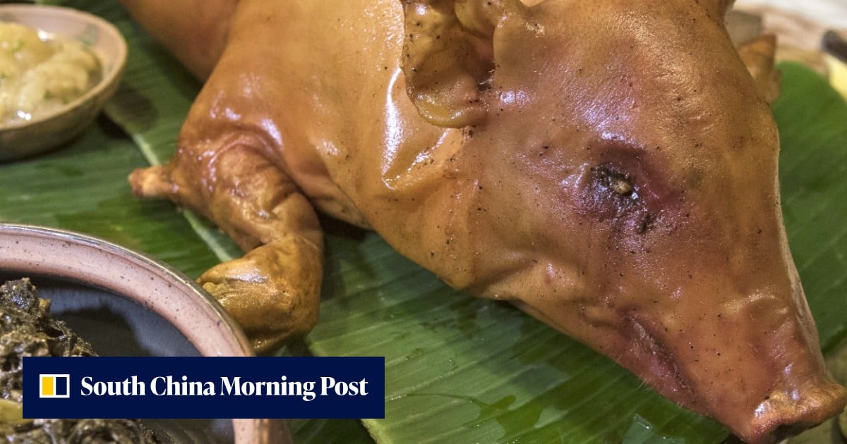 Letchone The secrets to great lechon - whole roasted suckling pig that’s ...