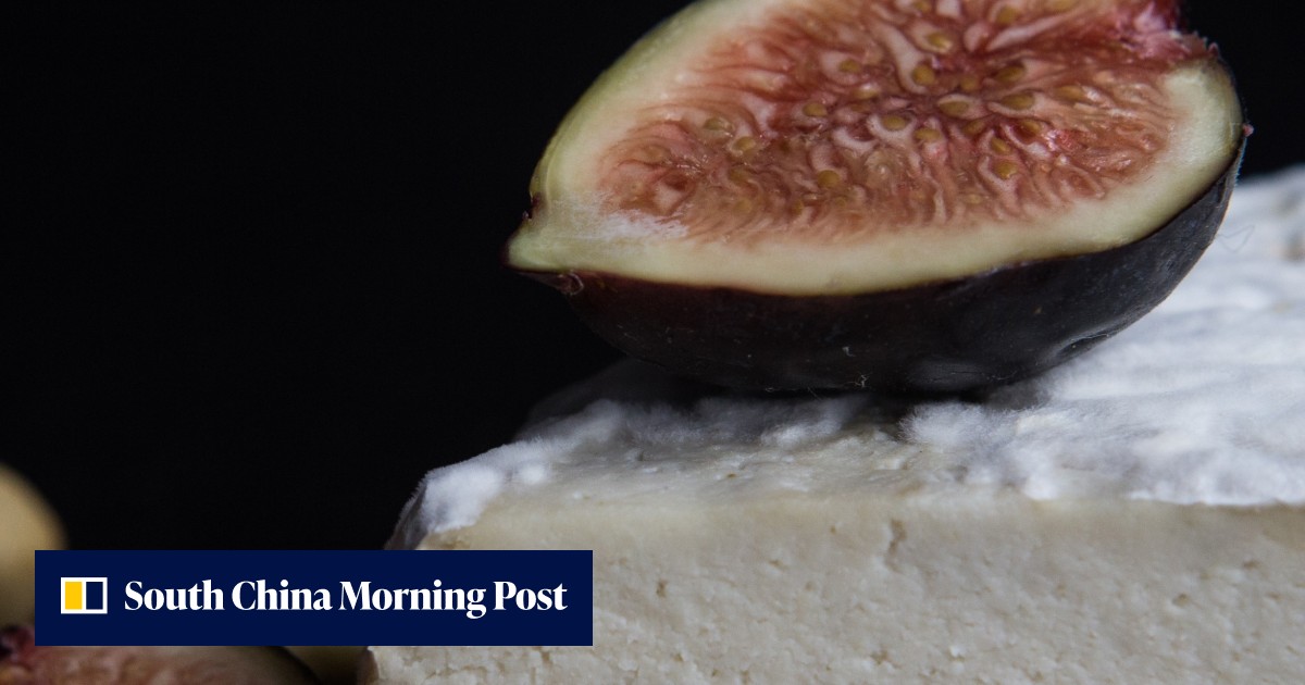 Vegan cheese revolution – now it tastes and feels like the real thing ...