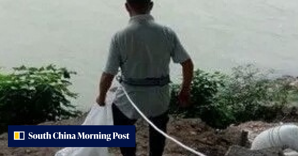 Chinese rubbish crew rise to steep challenge along Yangtze River ...