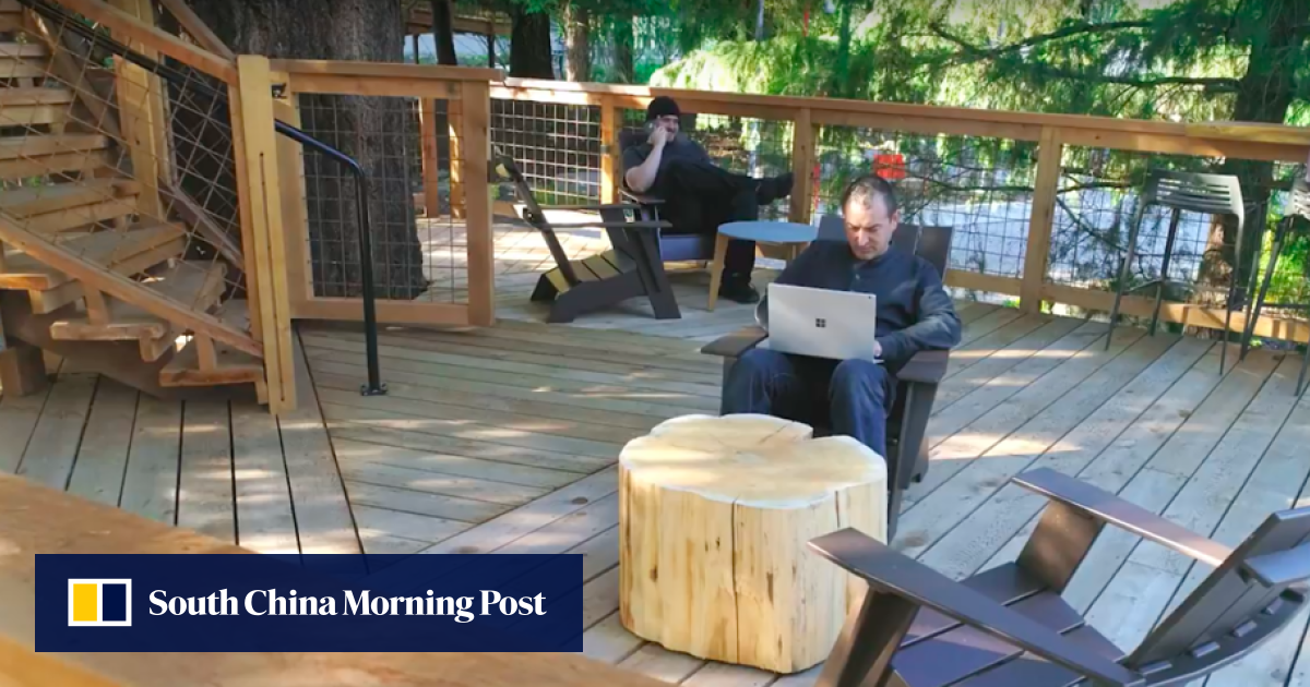 Microsoft employees can now work from tree houses