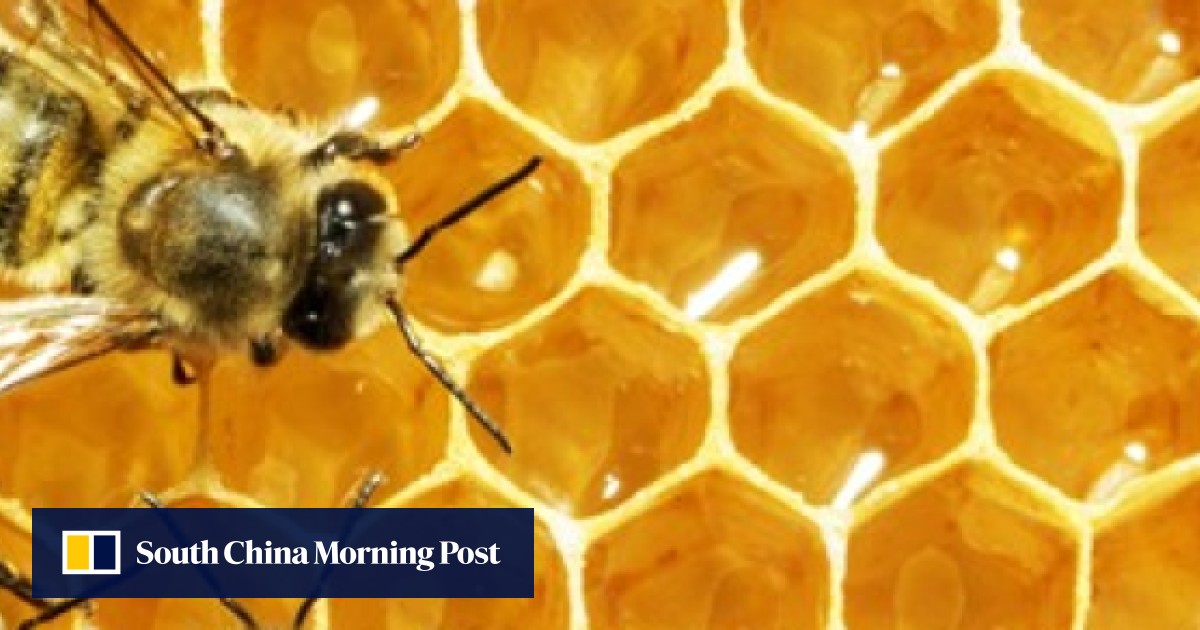 Australia And New Zealand In Trademark Battle For Manuka Honey Rights As Demand Soars In China 2870