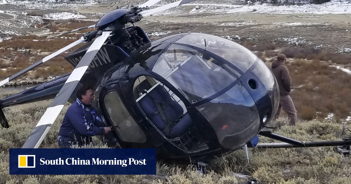 Leaping elk brings down lowflying research helicopter in Utah South