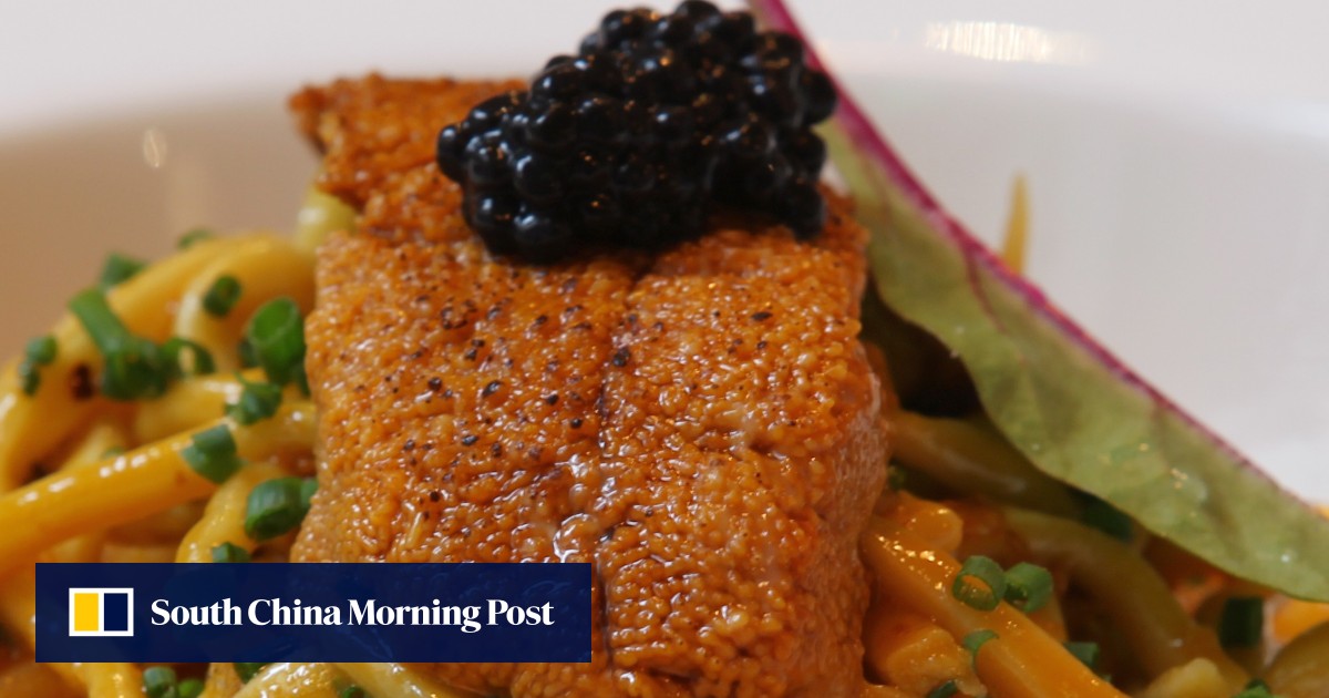 New restaurants in Tai Hang delicious housemade pasta at Dough Kitchen South China Morning Post