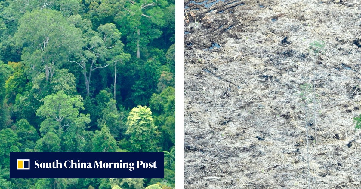 Our ruined planet: land decay to unleash mass migration, global study ...