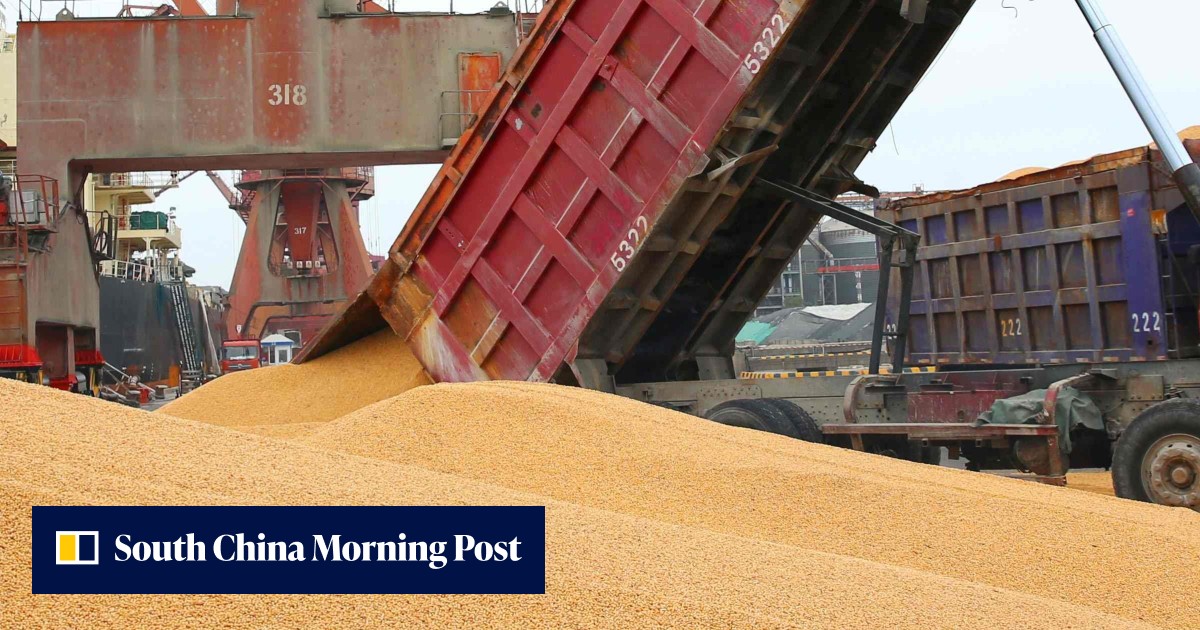 US looks for ways to shield farmers from China trade tensions | South ...