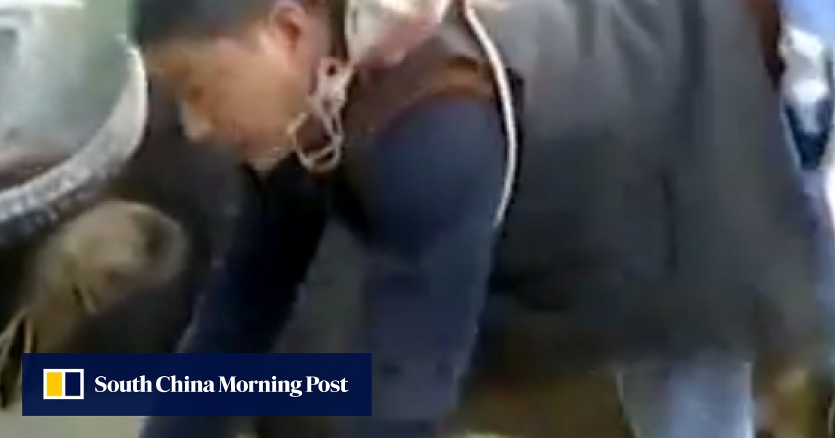 Disabled farmer herds cattle on hands and one leg, yet out-earns fellow ...
