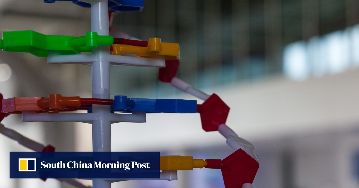 Parents vying for school places in southern China told to get DNA tests ...