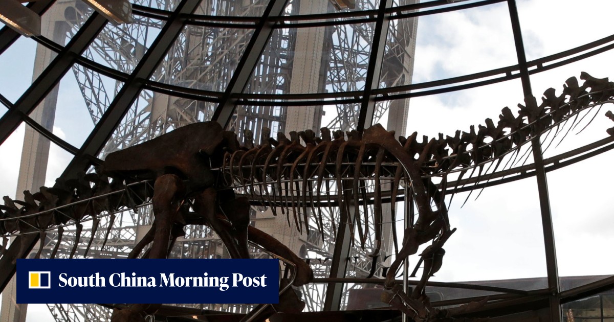 Rare dinosaur skeleton sells for more than US$2 million at auction ...