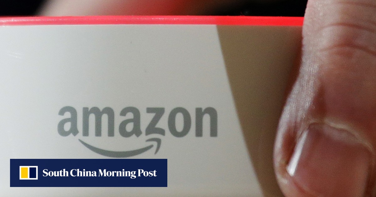 Chinese workers at Amazon Echo factory overworked and underpaid, watchdog says South China