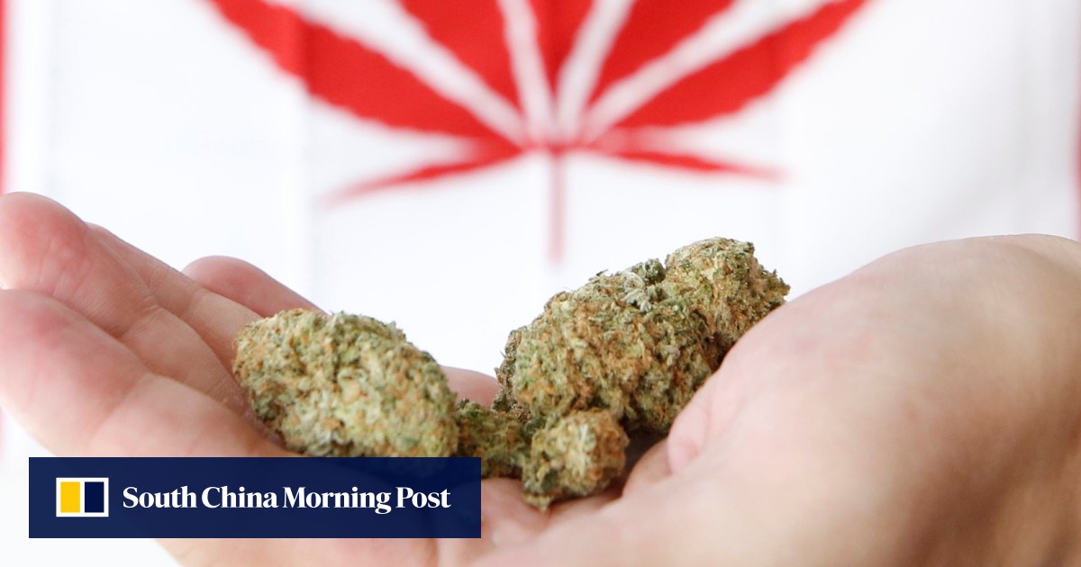 Green light Canada will legalise recreational marijuana on October 17