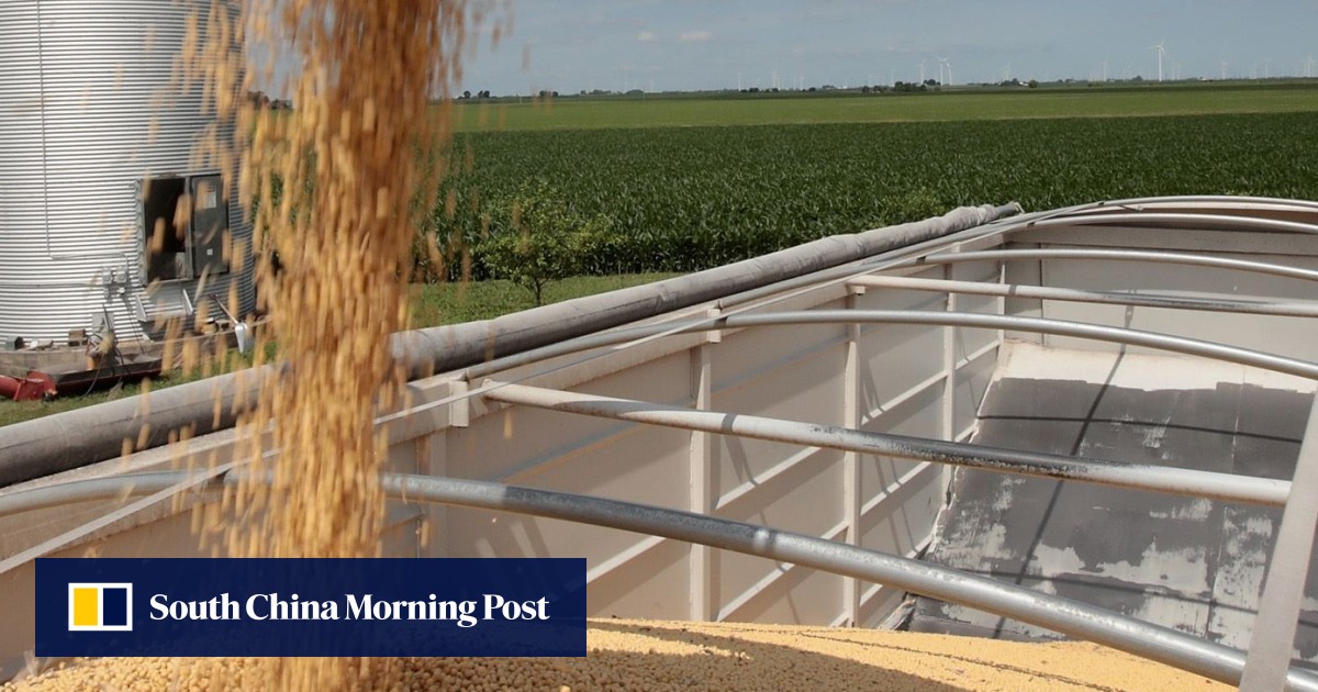 China expected to cancel 1.1 million tonnes of soybeans from the US as ...