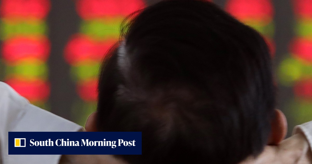 Chinese stock pickers have been chasing this investment theme since the ...
