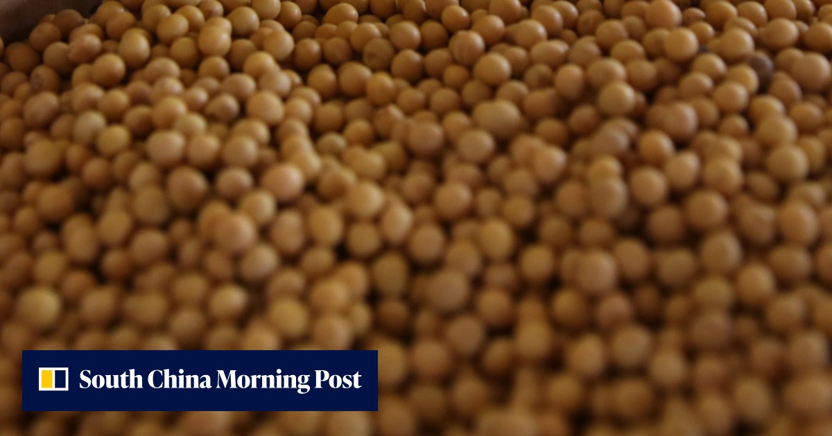 Soybean shipload worth more than US$20 million circles off China ...
