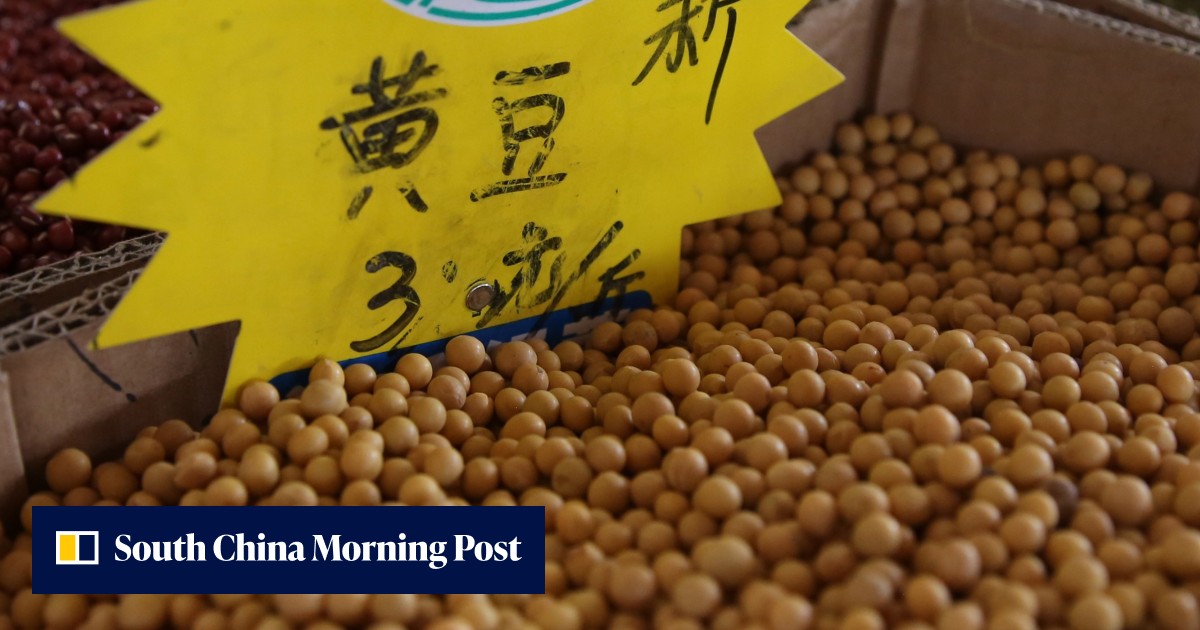 China says US farmers may never regain market share lost in trade war ...