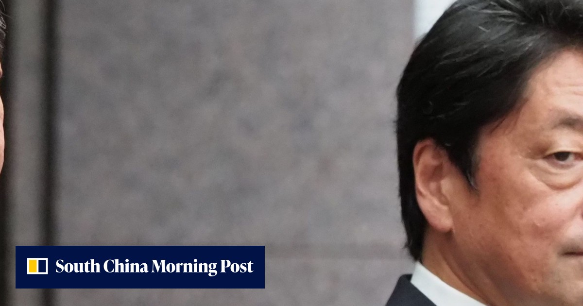Japanese Prime Minister Shinzo Abe replaces defence minister in cabinet ...