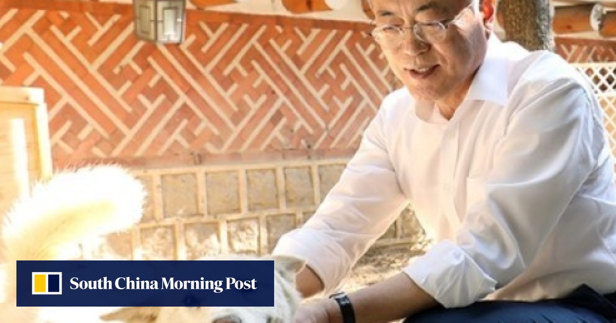 Dogs of North Korea Kim’s pets, valuable pelts and interKorean peace