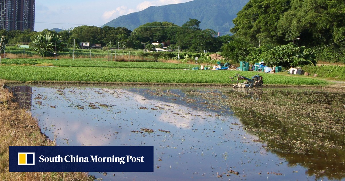 Exclusive Brownfield site development for New Territories North town