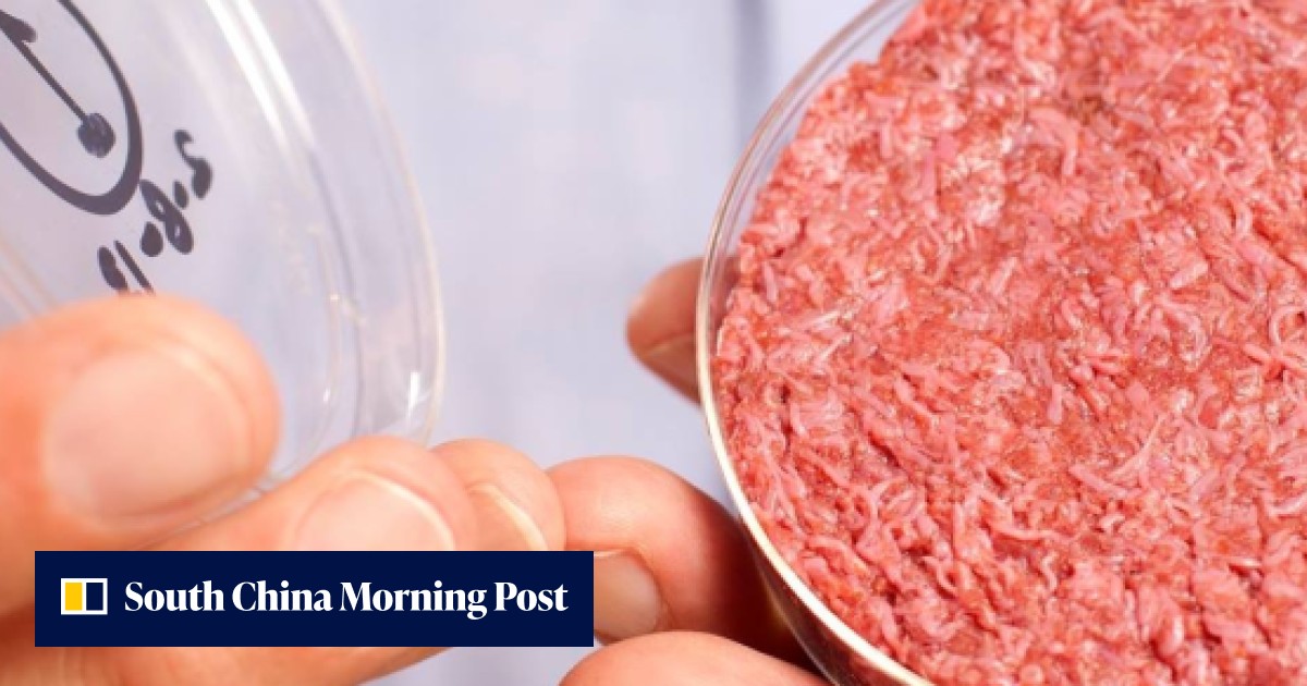 ‘Lab meat’ clears hurdle in path to US dinner plates | South China ...