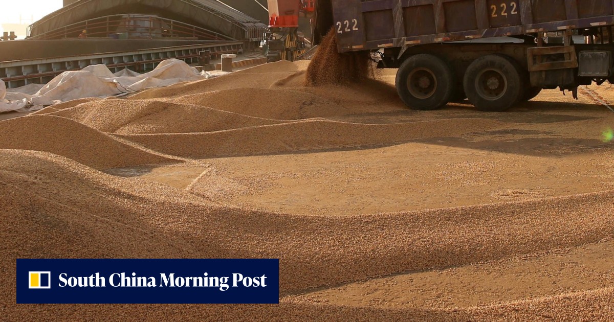 China resumes buying American soybeans amid current ceasefire in trade ...