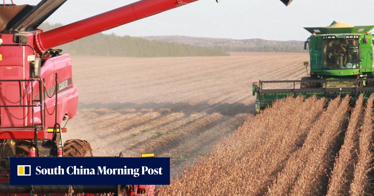 China buys reported US$300 million of American soybeans in second round ...