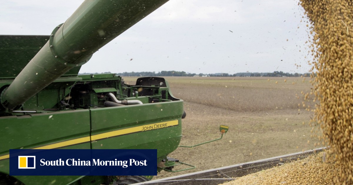 China buys at least 1 million tonnes of US soybeans after trade war ...